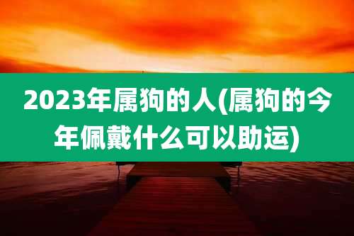 2023年属狗的人(属狗的今年佩戴什么可以助运)