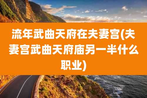 流年武曲天府在夫妻宫(夫妻宫武曲天府庙另一半什么职业)