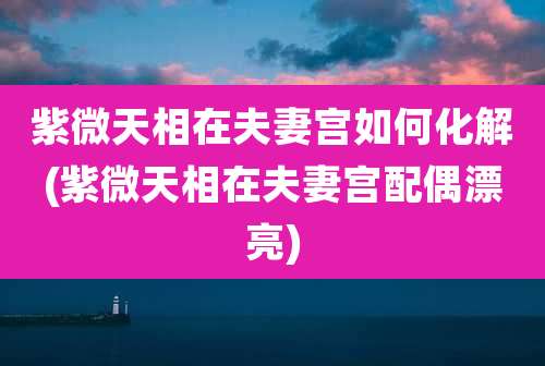 紫微天相在夫妻宫如何化解(紫微天相在夫妻宫配偶漂亮)