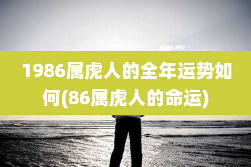 1986属虎人的全年运势如何(86属虎人的命运)