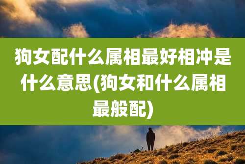狗女配什么属相最好相冲是什么意思(狗女和什么属相最般配)