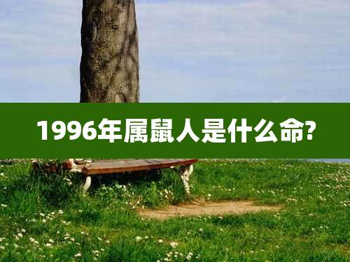 1996年属鼠人是什么命?