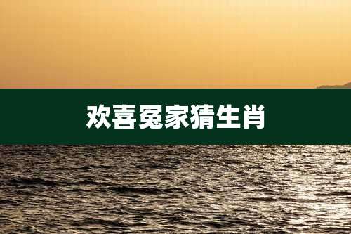 欢喜冤家猜生肖