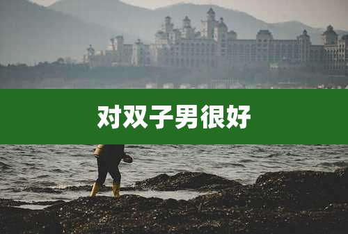 对双子男很好