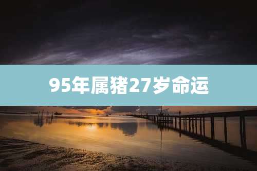 95年属猪27岁命运