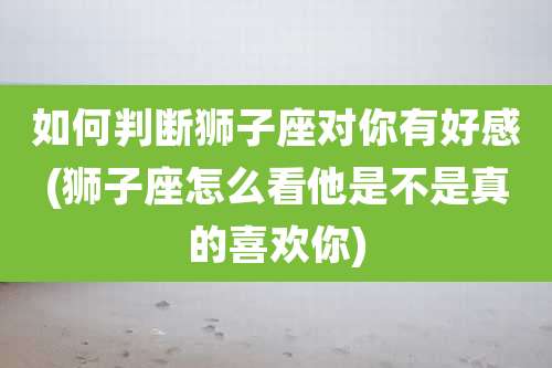 如何判断狮子座对你有好感(狮子座怎么看他是不是真的喜欢你)