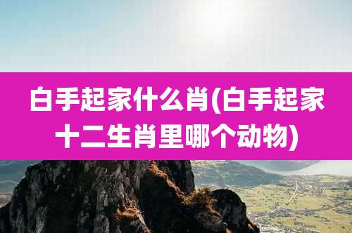 白手起家什么肖(白手起家十二生肖里哪个动物)