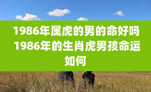1986年属虎的男的命好吗 1986年的生肖虎男孩命运如何