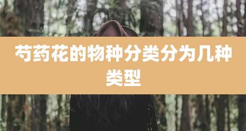 芍药花的物种分类分为几种类型