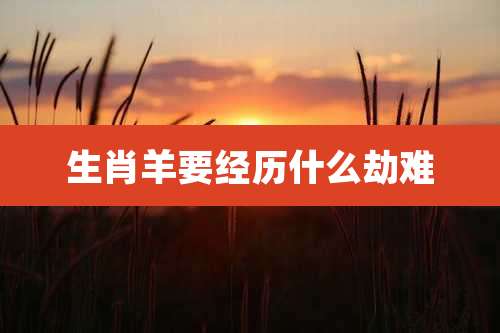 生肖羊要经历什么劫难