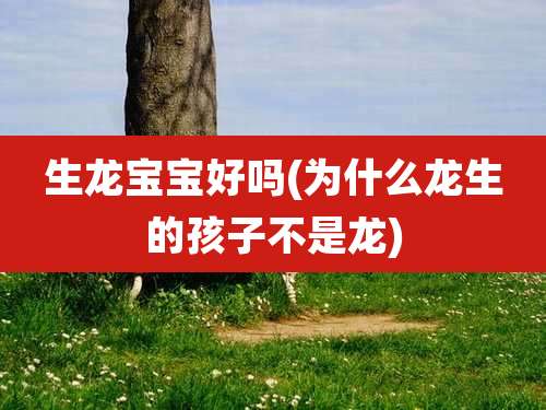 生龙宝宝好吗(为什么龙生的孩子不是龙)