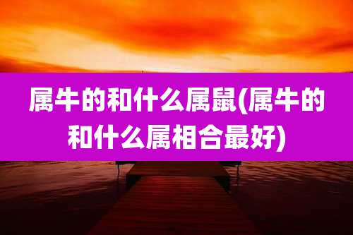 属牛的和什么属鼠(属牛的和什么属相合最好)