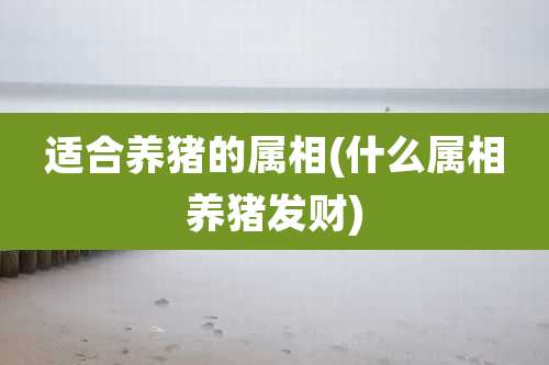 适合养猪的属相(什么属相养猪发财)