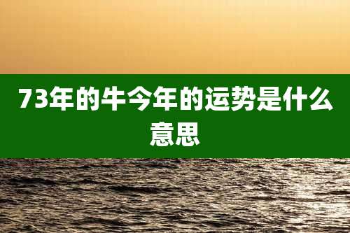 73年的牛今年的运势是什么意思