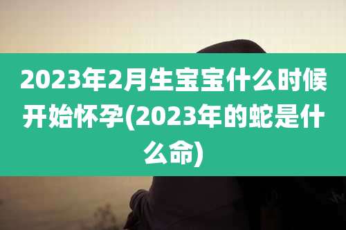 2023年2月生宝宝什么时候开始怀孕(2023年的蛇是什么命)