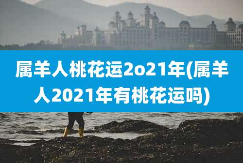 属羊人桃花运2o21年(属羊人2021年有桃花运吗)