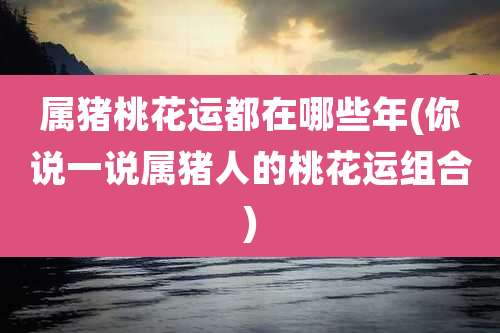属猪桃花运都在哪些年(你说一说属猪人的桃花运组合)