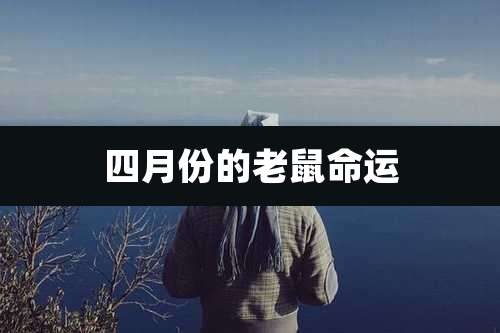 四月份的老鼠命运