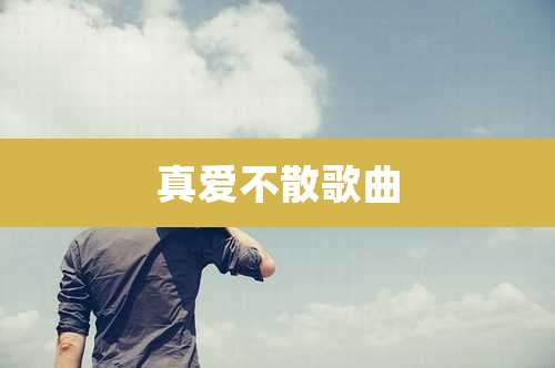 真爱不散歌曲