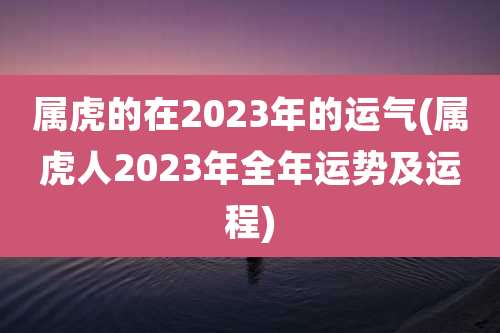 属虎的在2023年的运气(属虎人2023年全年运势及运程)