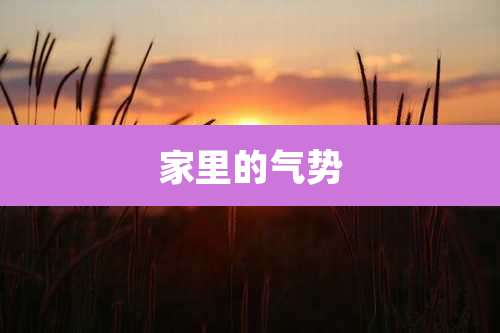家里的气势