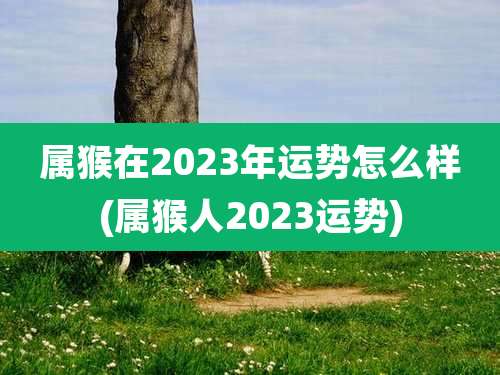 属猴在2023年运势怎么样(属猴人2023运势)