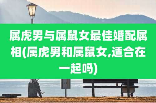 属虎男与属鼠女最佳婚配属相(属虎男和属鼠女,适合在一起吗)