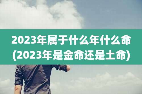 2023年属于什么年什么命(2023年是金命还是土命)