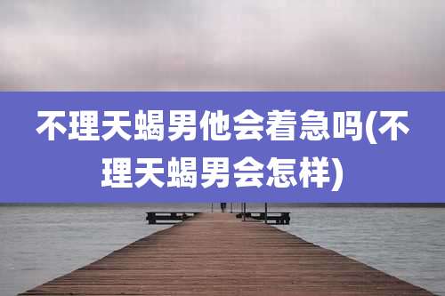 不理天蝎男他会着急吗(不理天蝎男会怎样)