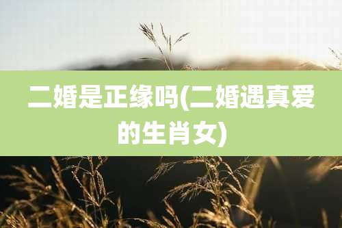 二婚是正缘吗(二婚遇真爱的生肖女)