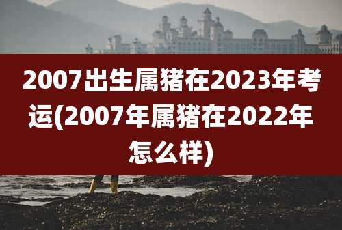 2007出生属猪在2023年考运(2007年属猪在2022年怎么样)