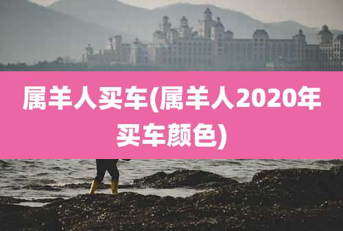 属羊人买车(属羊人2020年买车颜色)
