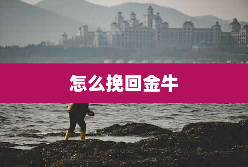 怎么挽回金牛