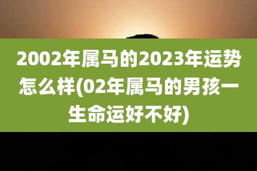 2002年属马的2023年运势怎么样(02年属马的男孩一生命运好不好)