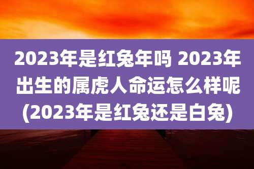 2023年是红兔年吗 2023年出生的属虎人命运怎么样呢(2023年是红兔还是白兔)