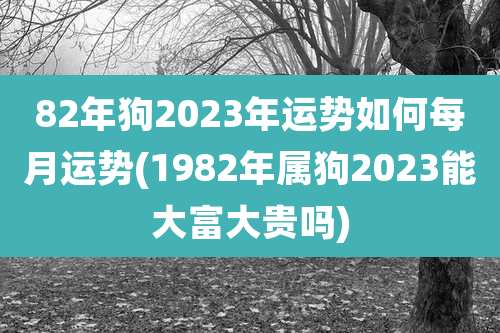 82年狗2023年运势如何每月运势(1982年属狗2023能大富大贵吗)