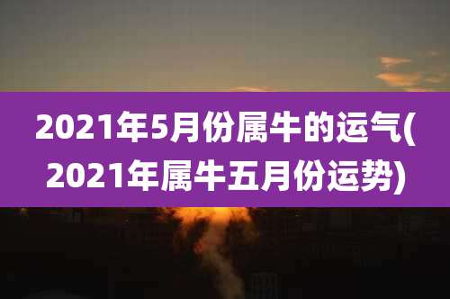 2021年5月份属牛的运气(2021年属牛五月份运势)