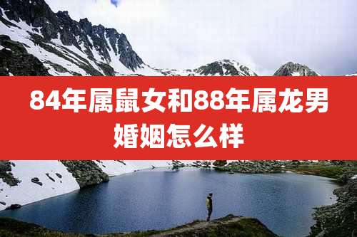 84年属鼠女和88年属龙男婚姻怎么样