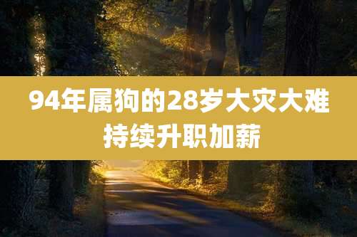 94年属狗的28岁大灾大难 持续升职加薪