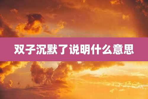 双子沉默了说明什么意思