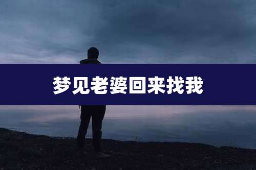 梦见老婆回来找我