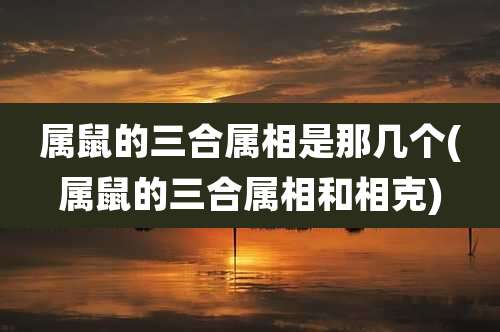 属鼠的三合属相是那几个(属鼠的三合属相和相克)