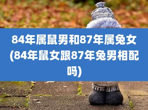 84年属鼠男和87年属兔女(84年鼠女跟87年兔男相配吗)