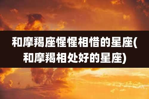 和摩羯座惺惺相惜的星座(和摩羯相处好的星座)