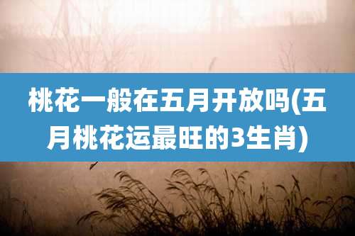 桃花一般在五月开放吗(五月桃花运最旺的3生肖)