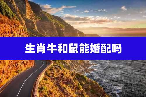 生肖牛和鼠能婚配吗