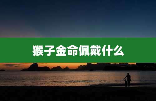 猴子金命佩戴什么