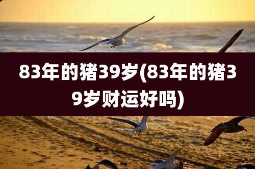 83年的猪39岁(83年的猪39岁财运好吗)