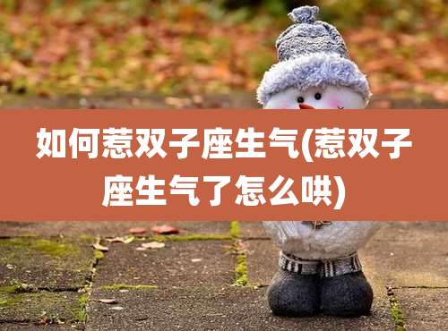 如何惹双子座生气(惹双子座生气了怎么哄)