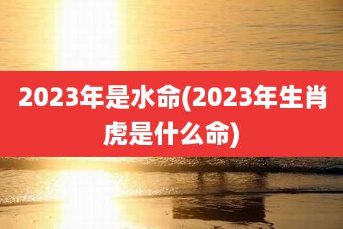 2023年是水命(2023年生肖虎是什么命)